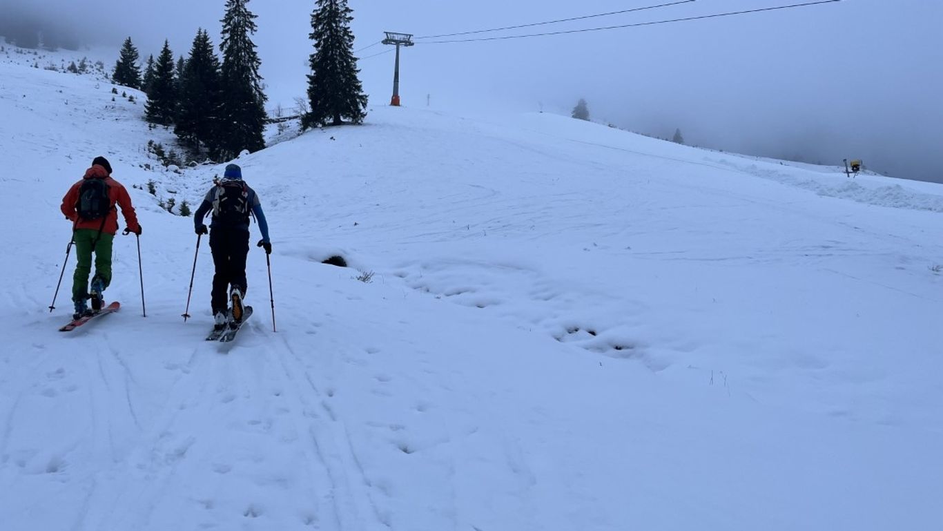 Schnee, Tourengeher
