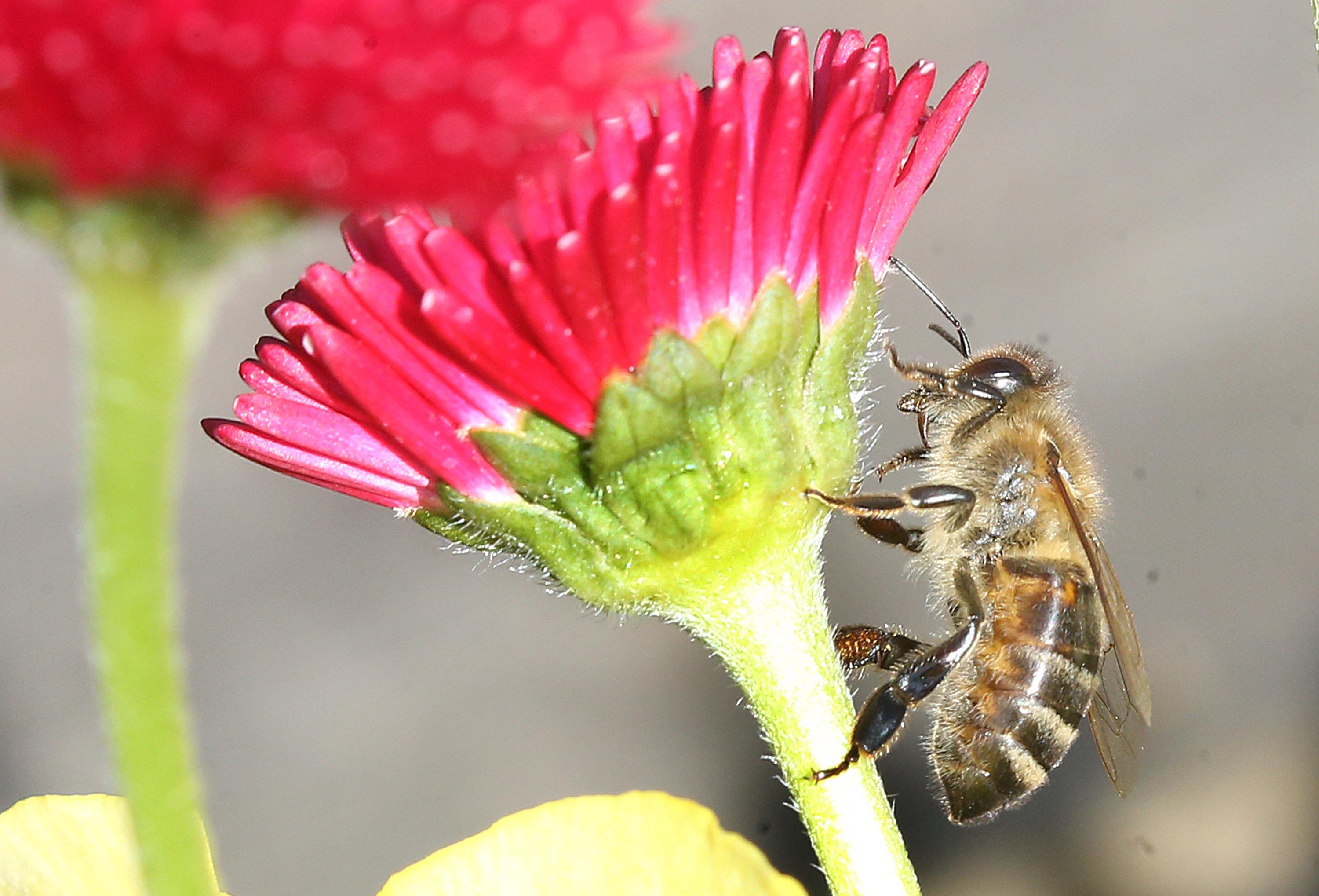 Jeder Quadratmeter Zahlt Aktion Fur Mehr Naturschutz Im Allgau Br24