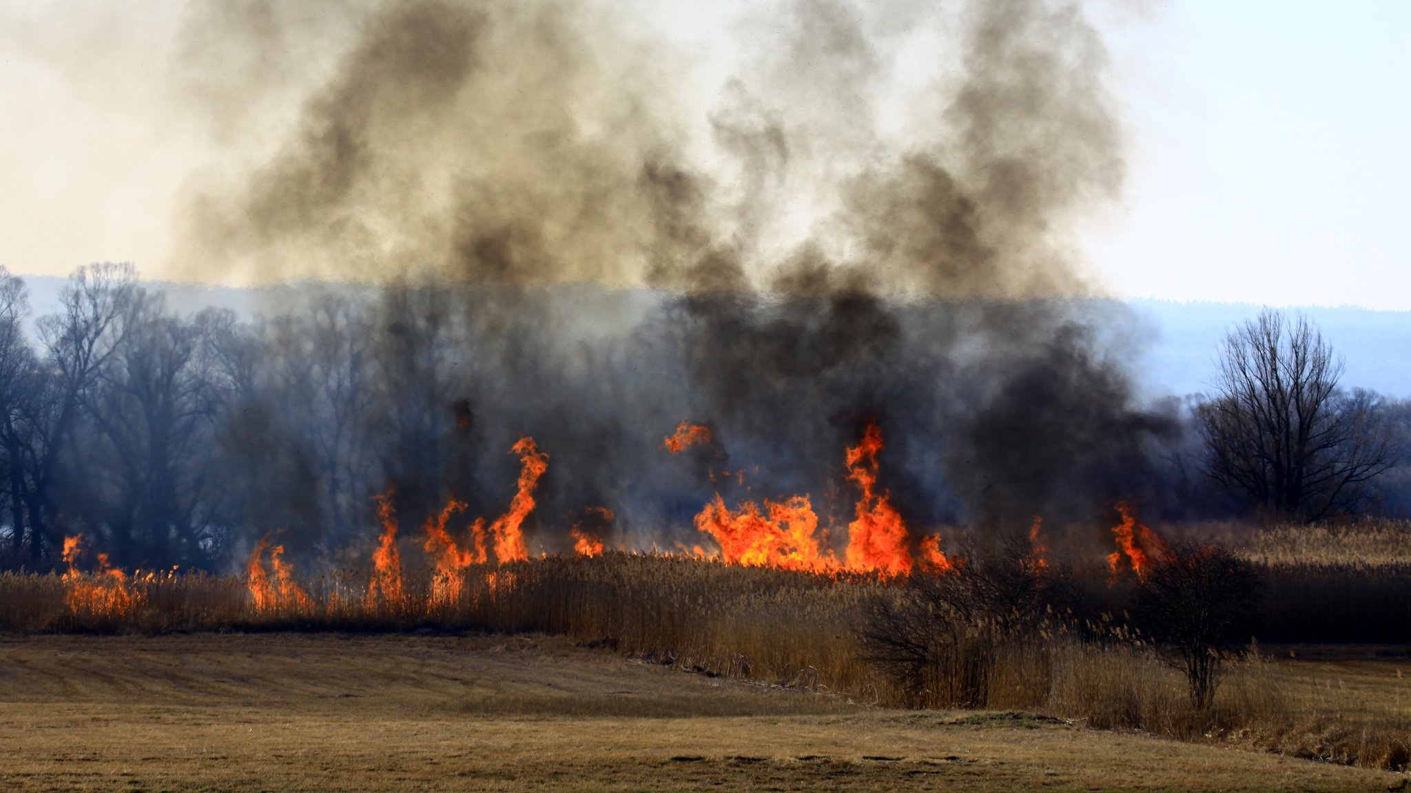 Waldbrände in Bayern: Im Flugzeug gegen die Flammen