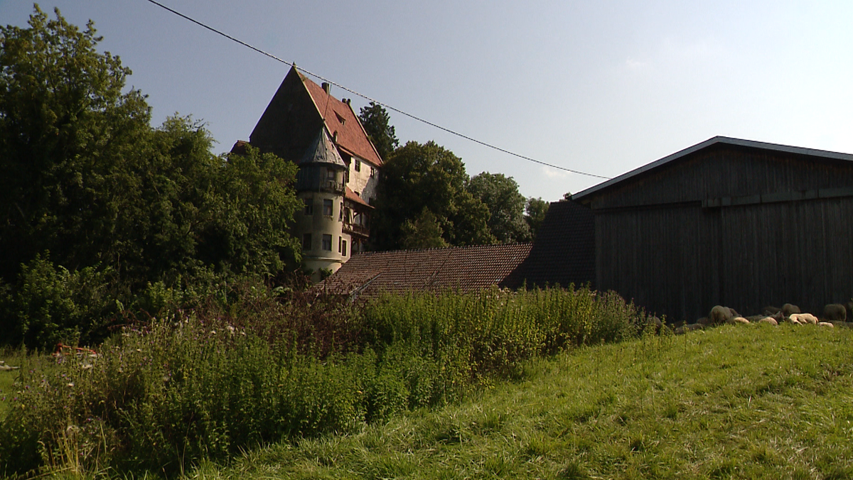 Schloss Mattsies ist im Hintergrund zu erkennen.