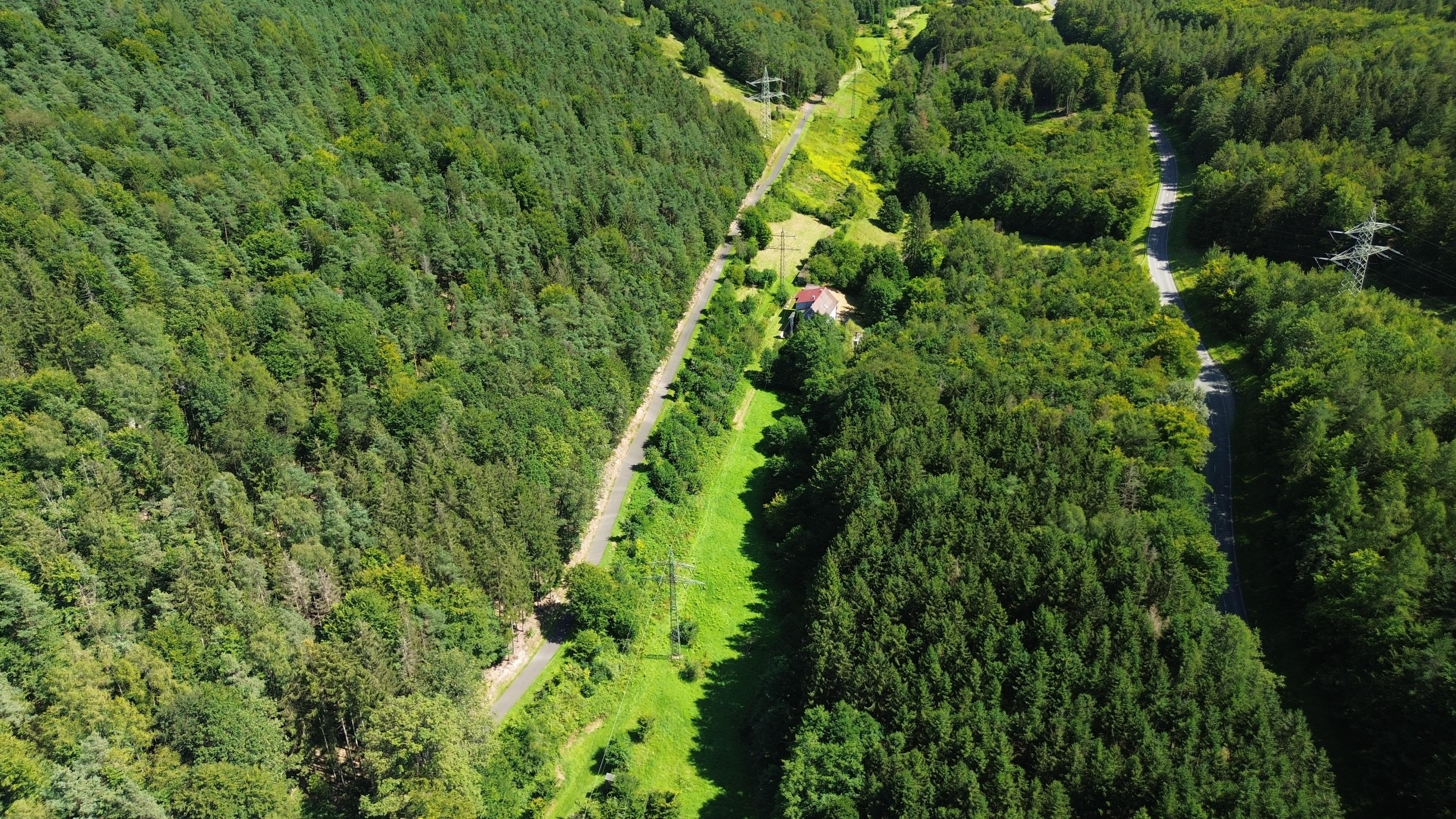 Zwei Spaziergänger haben auf einem Forstweg im Spessart die Leiche eines jungen Mannes gefunden. Die Polizei ermittelt nun wegen eines Tötungsdelikts und hat bereits zwei Verdächtige festgenommen.