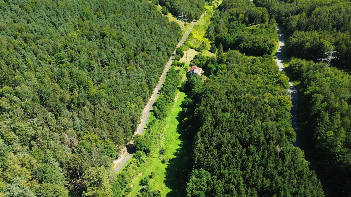 Leiche auf Waldweg entdeckt – Verdacht auf Tötungsdelikt