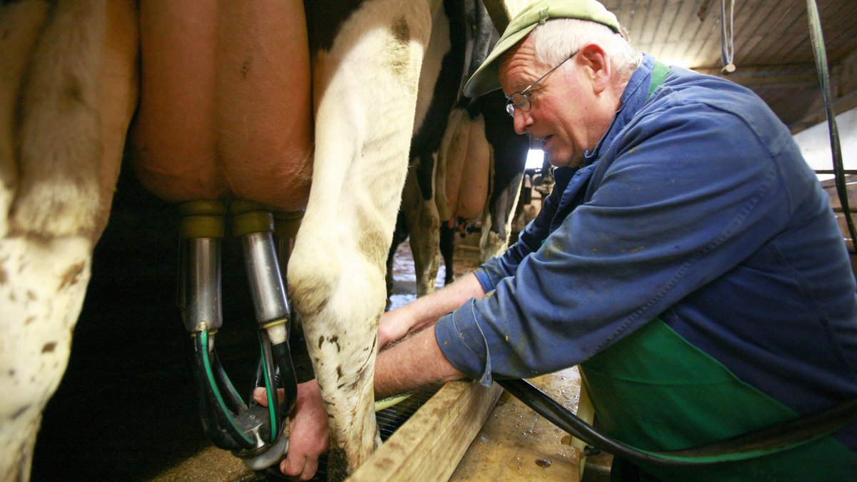Bauer in Bayern melkt eine Kuh (Archivbild)