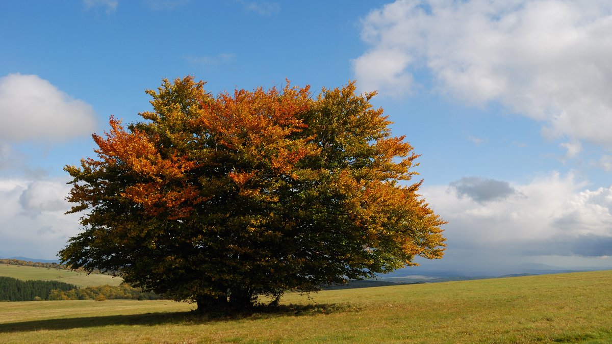 Hoch "Tatiana" sorgt für ein goldenes Oktoberwochenende