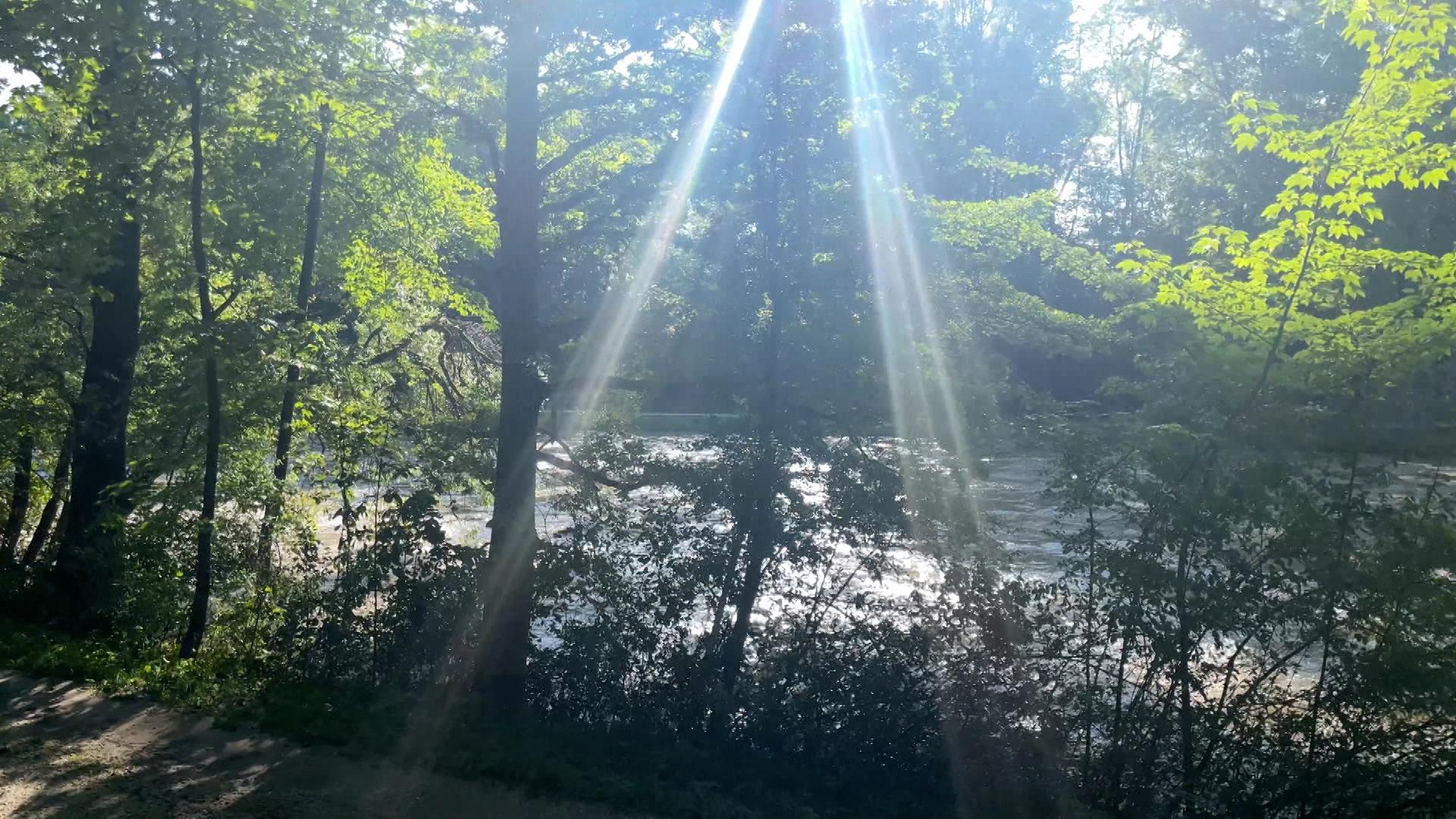 Silberwald bei Neu-Ulm