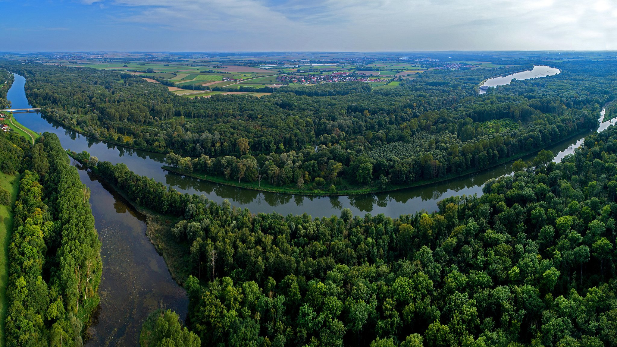 Donauauwald bei Bruck an der Lechmündung.