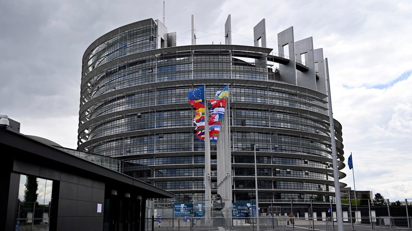 Flaggen wehen vor dem Europaparlament in Straßburg.