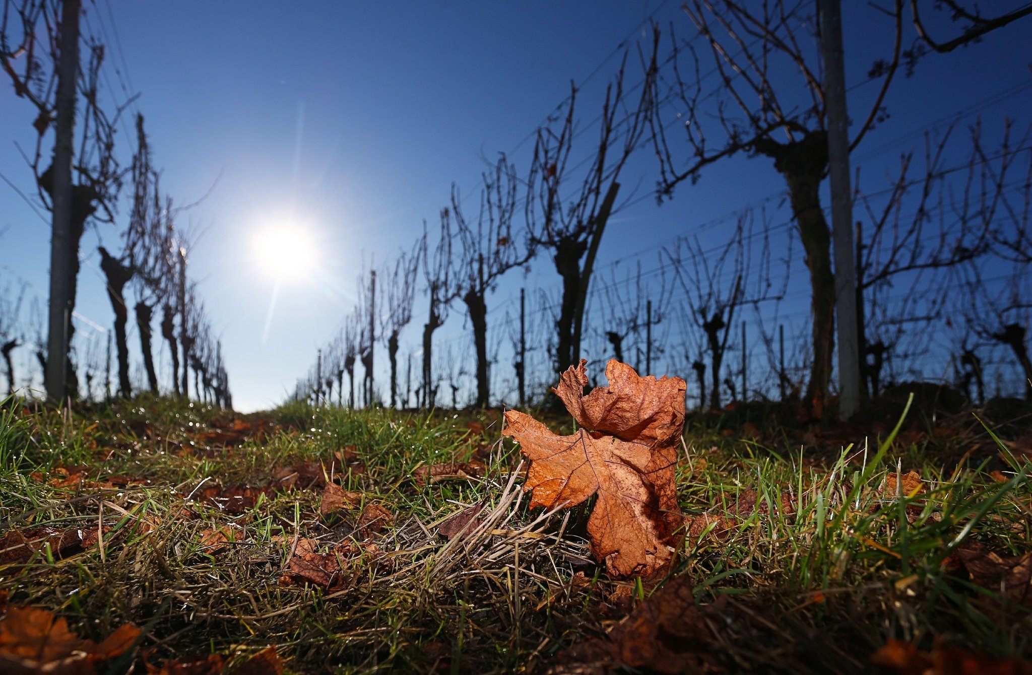 Wasser für die Weinberge in Unterfranken