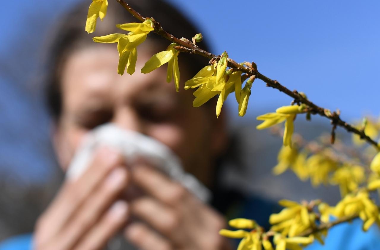 Ein Mann mit Heuschnupfen und Taschentuch vor seiner Nase steht neben einem blühenden Strauch. (zu dpa: Die Pollen fliegen wieder - Corona-Masken können Symptome mildern ) Foto: Angelika Warmuth/dpa +++ dpa-Bildfunk +++
