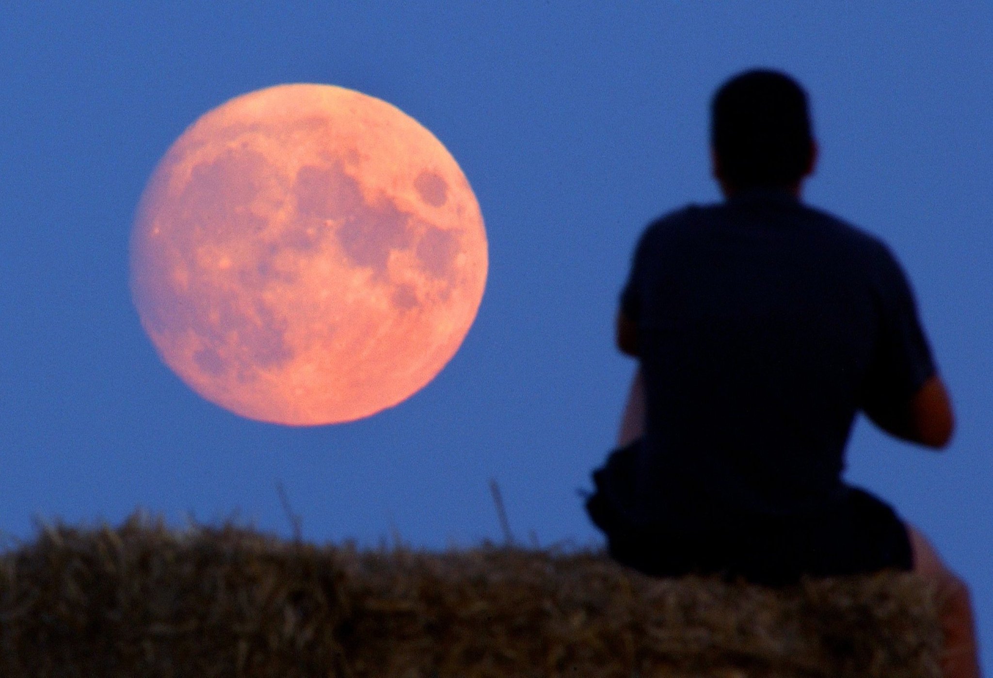 rot leuchtender Vollmond am Horizont