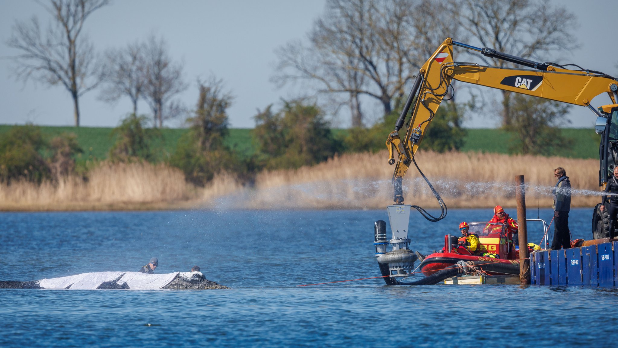 Helfer und Bergungsspezialisten arbeiten direkt am festliegenden Buckelwal vor der Insel Poel und spülen den Meeresboden unter dem Tier weg. Der vor drei Wochen bei Wismar gestrandete Buckelwal liegt weiterhin auf einer Sandbank fest. 