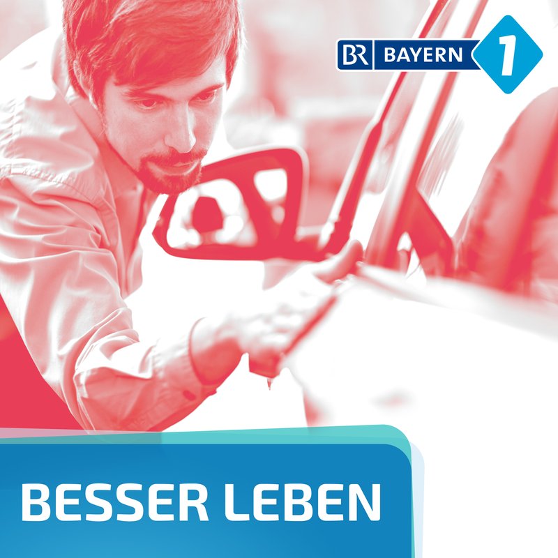 Elektroauto gebraucht kaufen: Wie gut sind gebrauchte E-Autos? - Besser leben. Der BAYERN 1 Nachhaltigkeitspodcast | BR Podcast