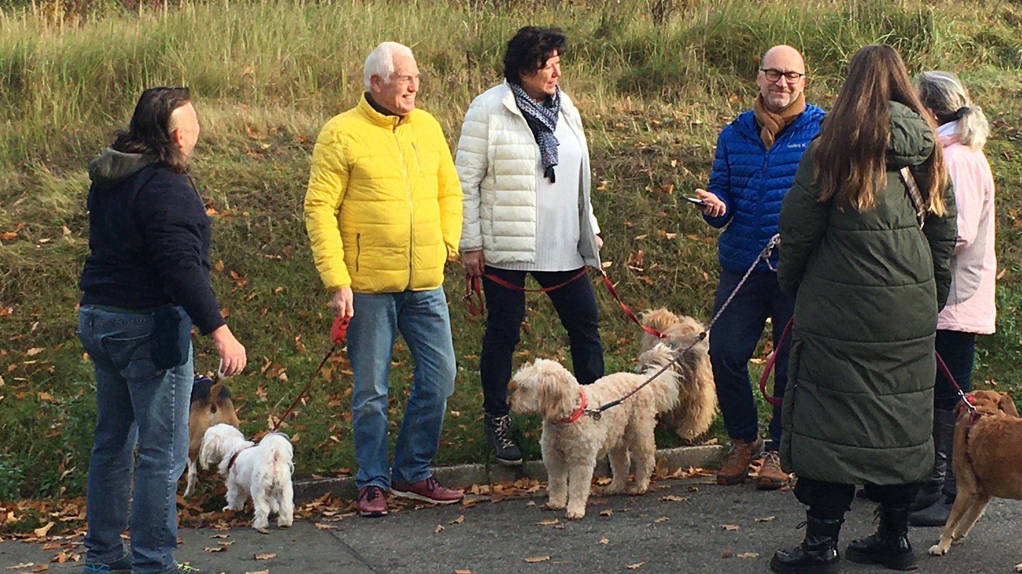 Hunde mit ihren Besitzern