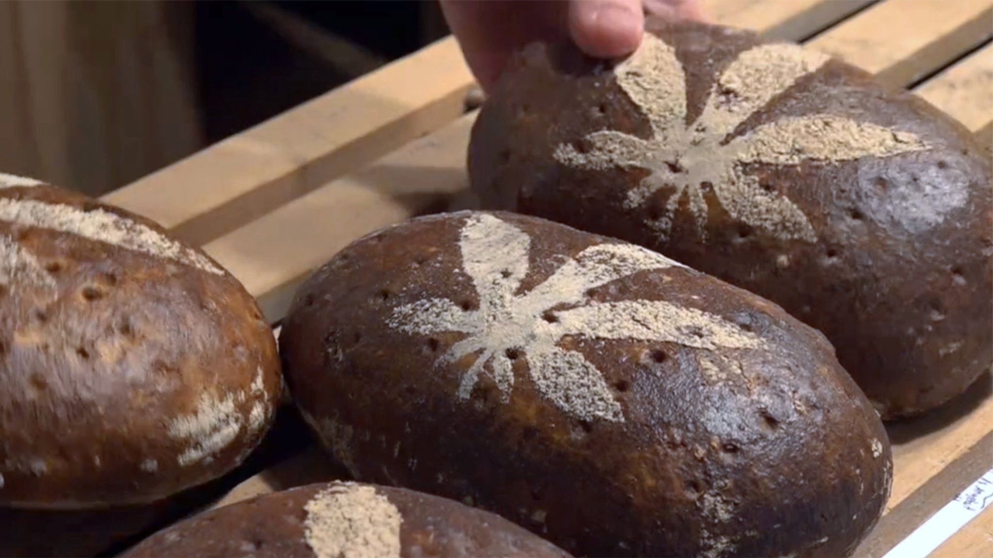 Mehrere Laibe Hanfbrot liegen in einer Bäckerei in einem Verkaufsregal.