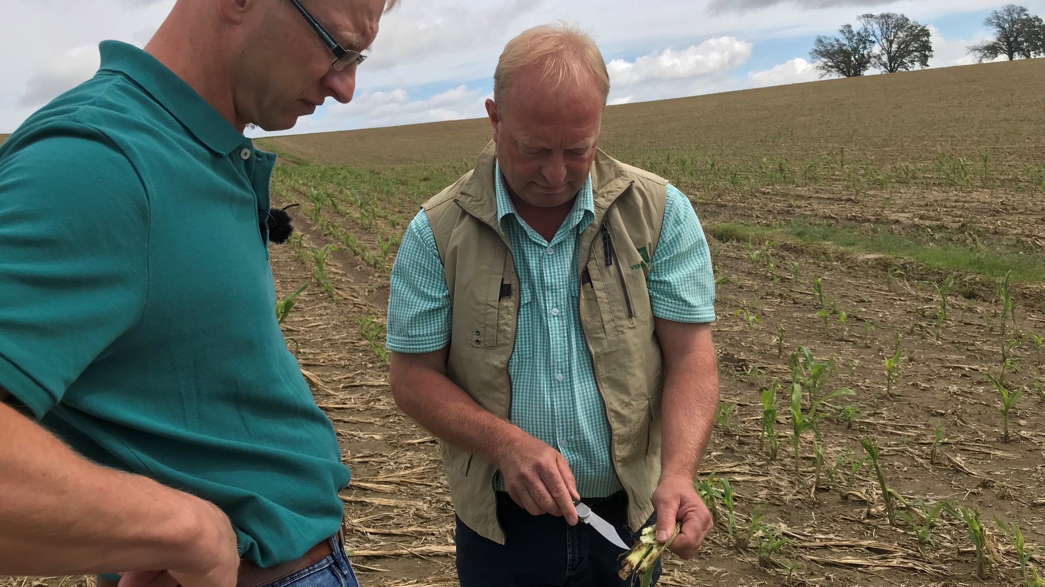 Ein Gutachter schaut sich ein Feld an und bemisst dann die Schadenshöhe