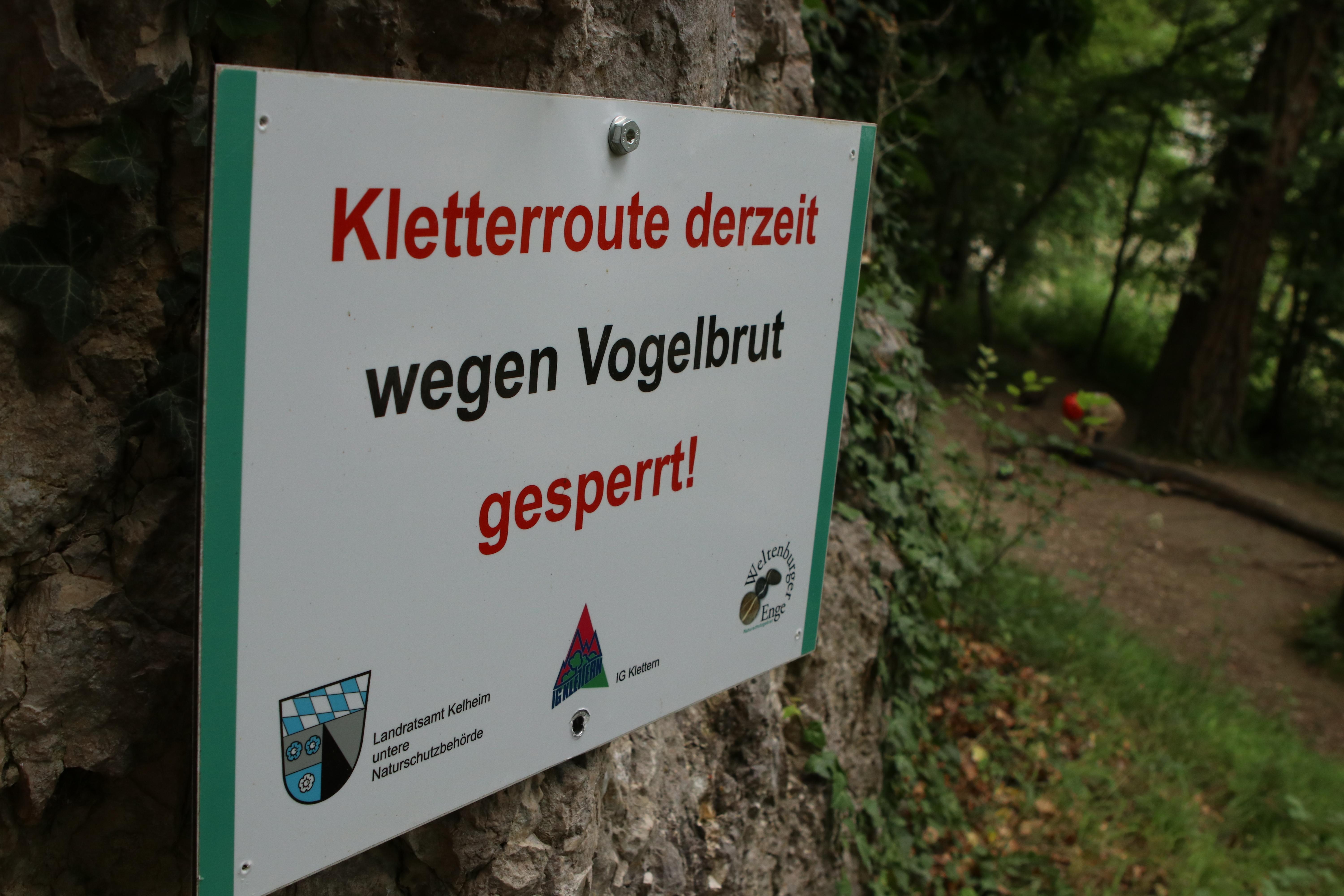 Klettern im Altmühltal