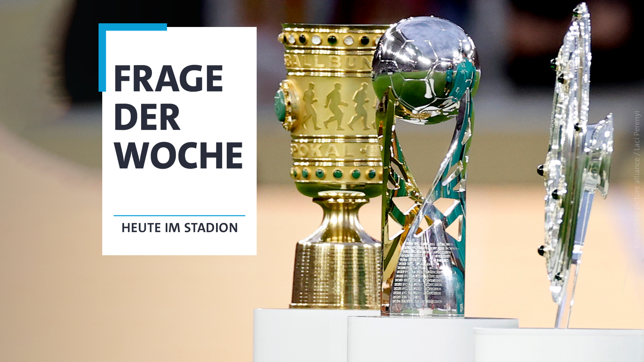 Frage der Woche: Was wünschen Sie sich für ihren Verein?