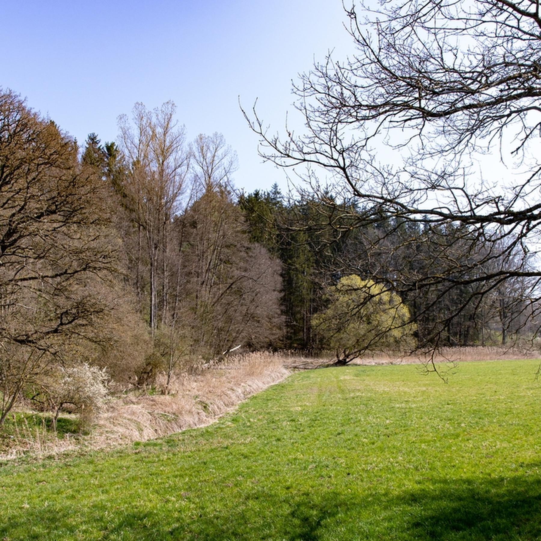 Natur muss gefühlt werden - Die Erfindung des Stadtparks und andere Parkgeschichten episode artwork