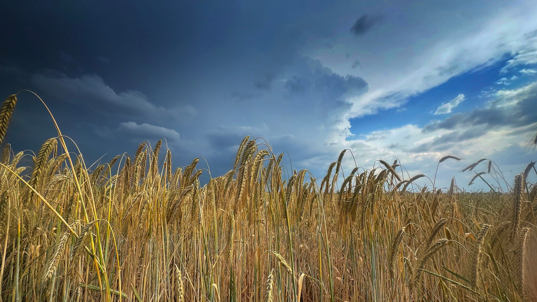 Nach Hitze und Gewittern: In Bayern ziehen neue Unwetter auf