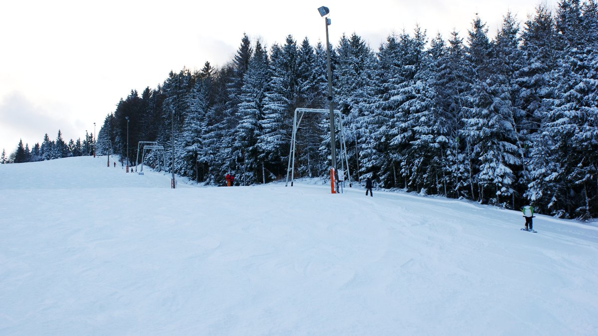 Mehrere Skifahrer benutzen einen Lift, der neben einer Skipiste entlang führt. Im Hintergrund ist ein verschneiter Wald zu sehen. 