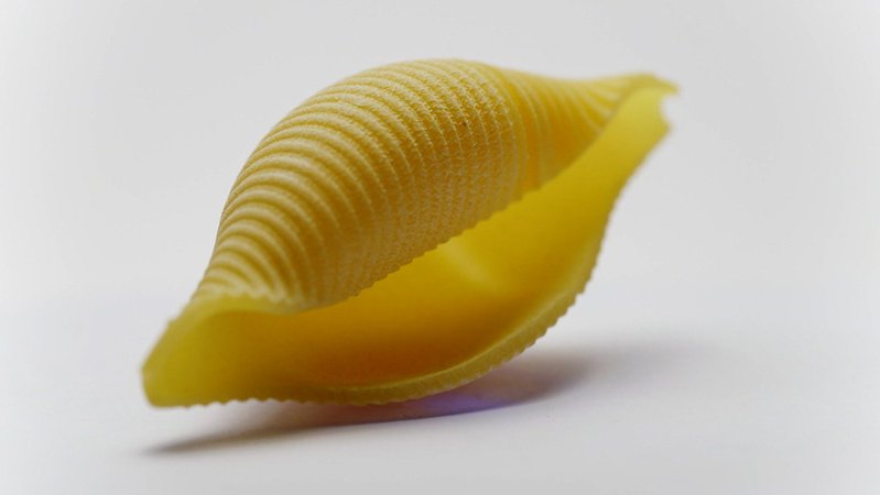 Conchiglioni-Nudel | Bild: Bayerischer Rundfunk 2024 Conchiglioni-Nudel