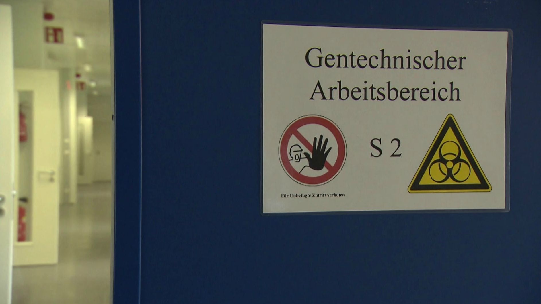 Bakteriophagen Warum Es Die Antibiotika Alternative Schwer Hat Br24