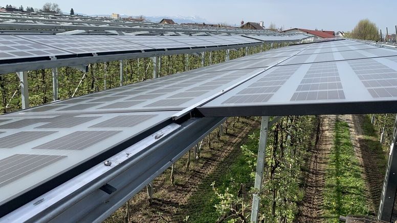Am Bodensee ist eine Photovoltaikanlage über einer Plantage mit Apfelbäumen installiert worden. Die sogenannte Agri-PV erhitzt die Gemüter in der Branche. Das Fraunhofer-Institut begleitet das Projekt und untersucht, wie sich weniger Licht durch die Anlage auf die Äpfel auswirkt. | Bild:BR/Steffen Armbruster