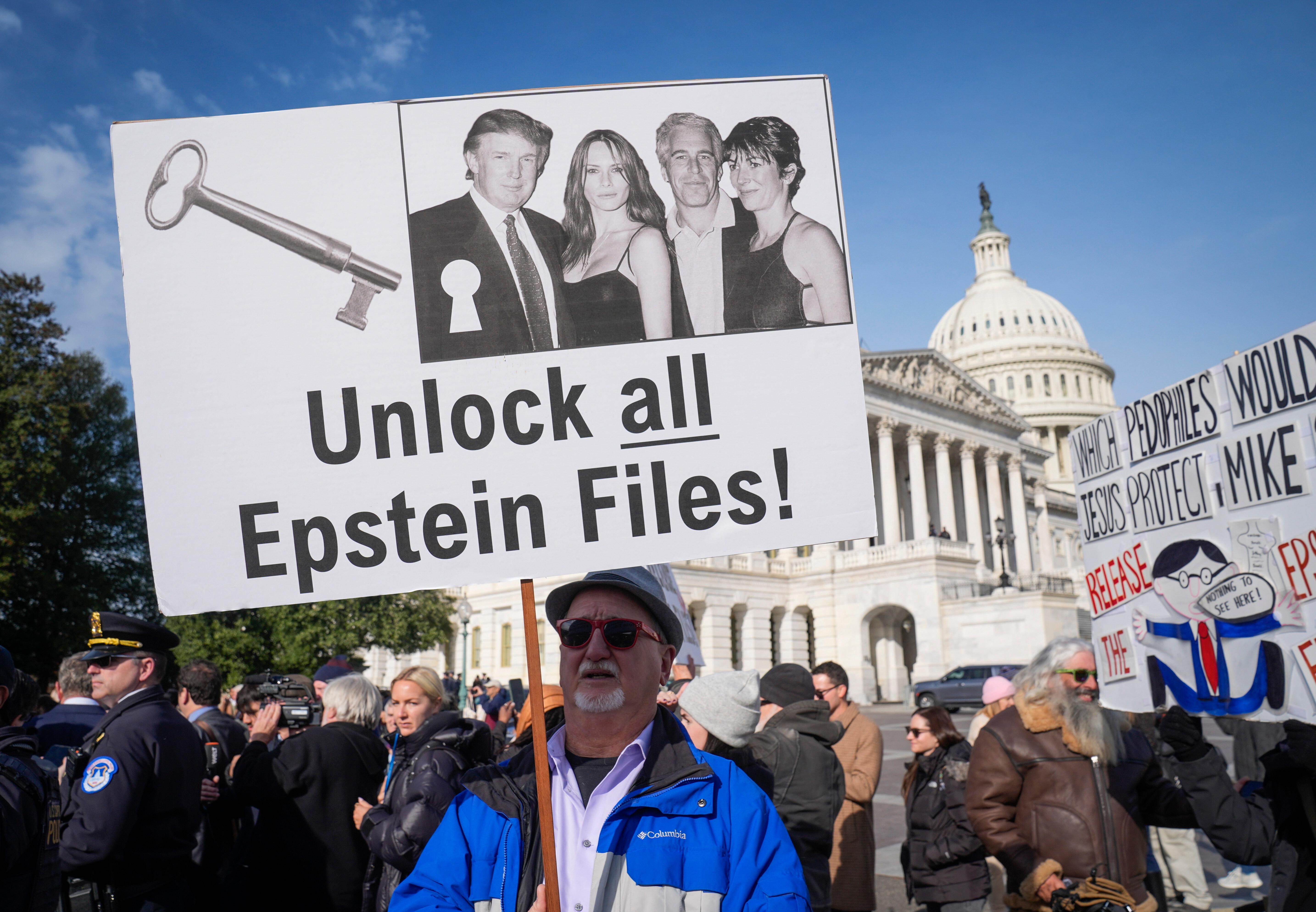 Demonstranten in Washington fordern die Offenlegung der Epstein-Akten.