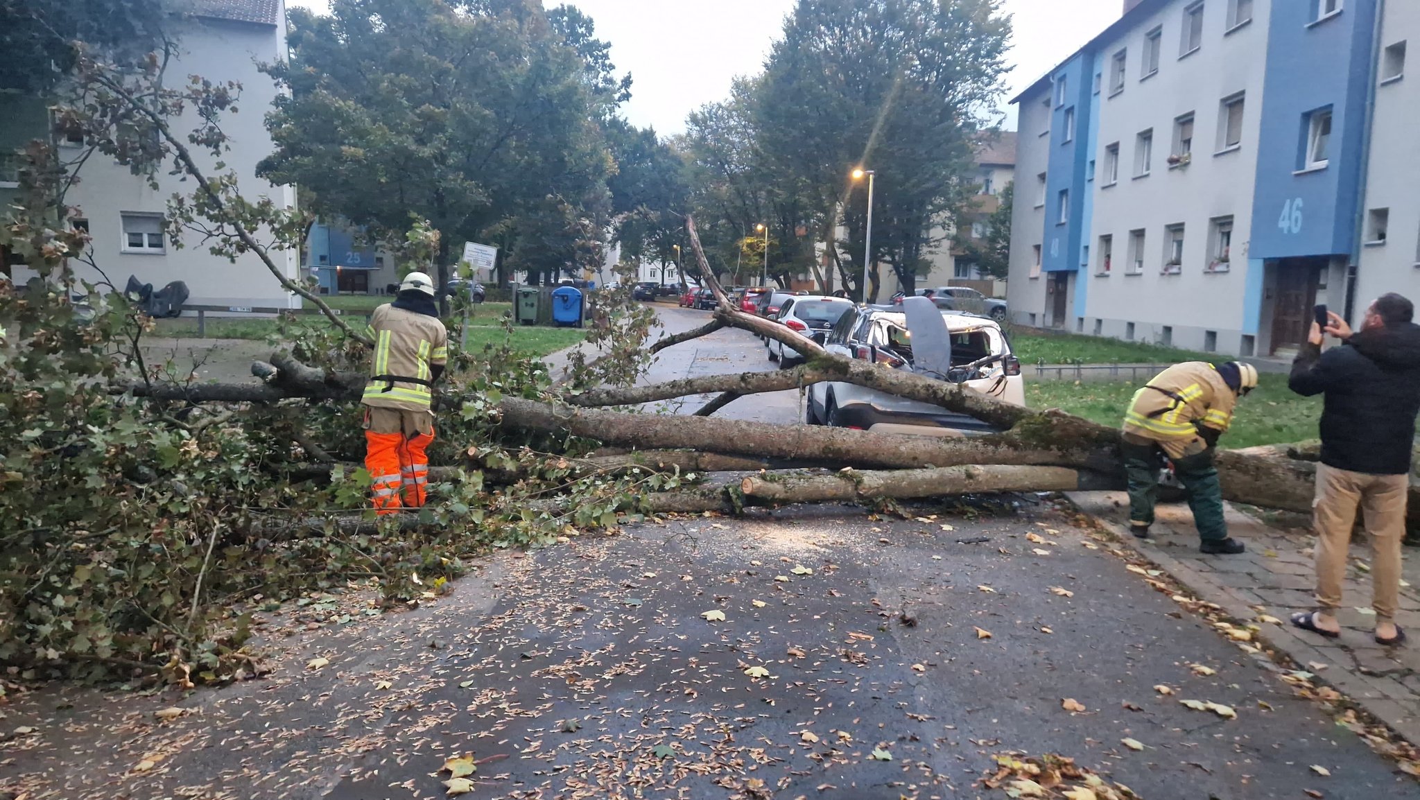 Die Feuerwehr beseitigt ein umgestürzten Baum, der auf ein Auto gestürzt ist