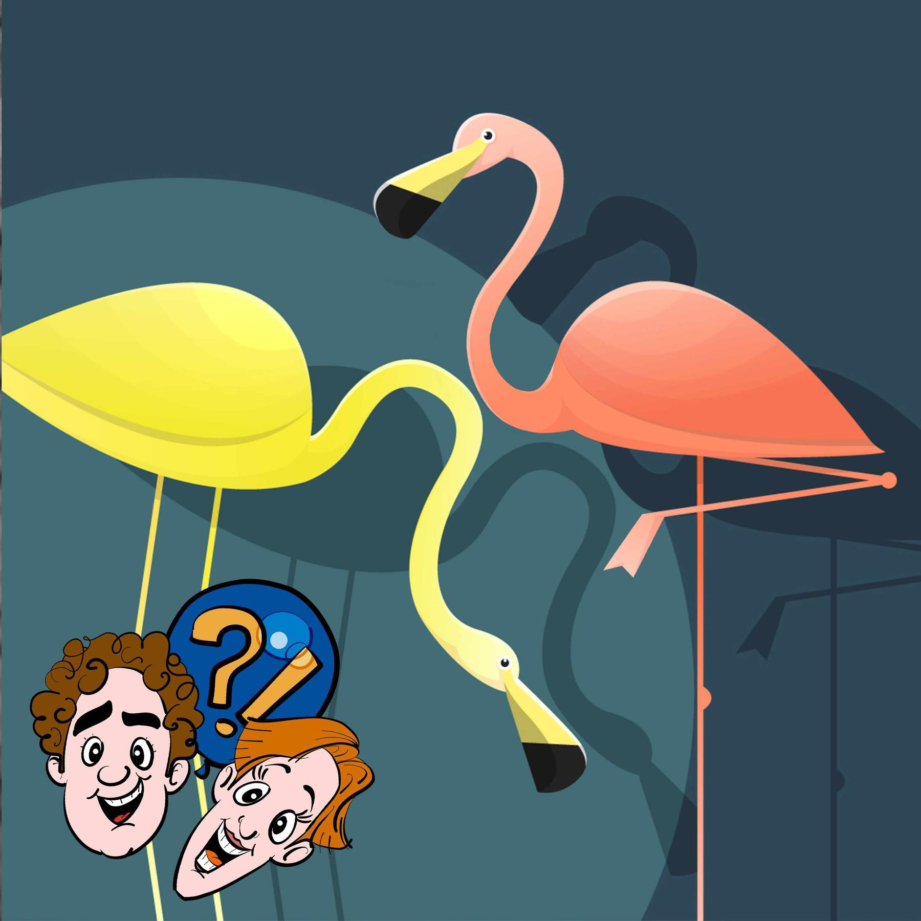 Wenn Flamingos Zitronen fressen, werden sie dann gelb?