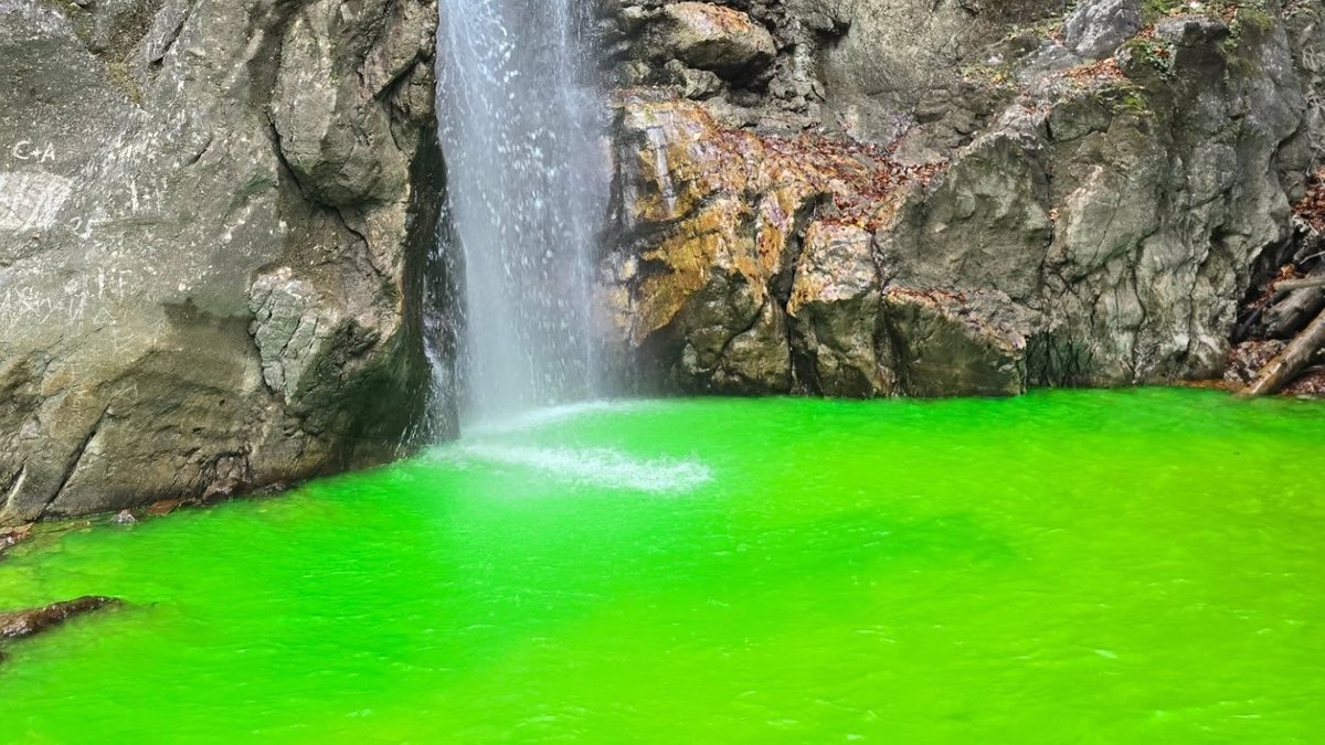 Oberbayerischer Wildbach neongrün eingefärbt