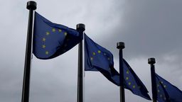 Flaggen der EU | Bild:picture alliance / Sascha Steinach/dpa-Zentralbild/dpa