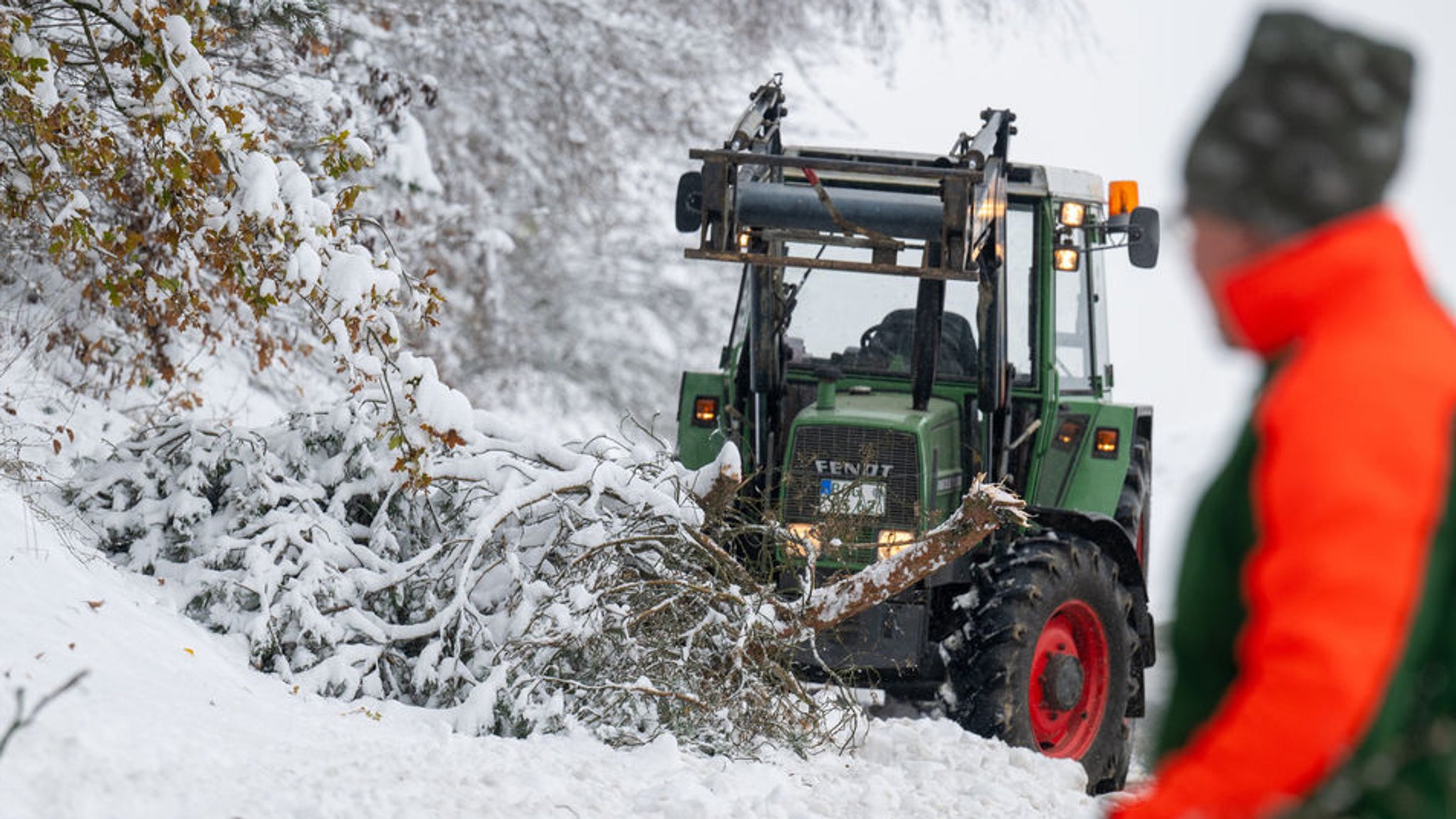 Ein vom Schnee umgestürzter Baum liegt am Straßenrand bei Mitterfels