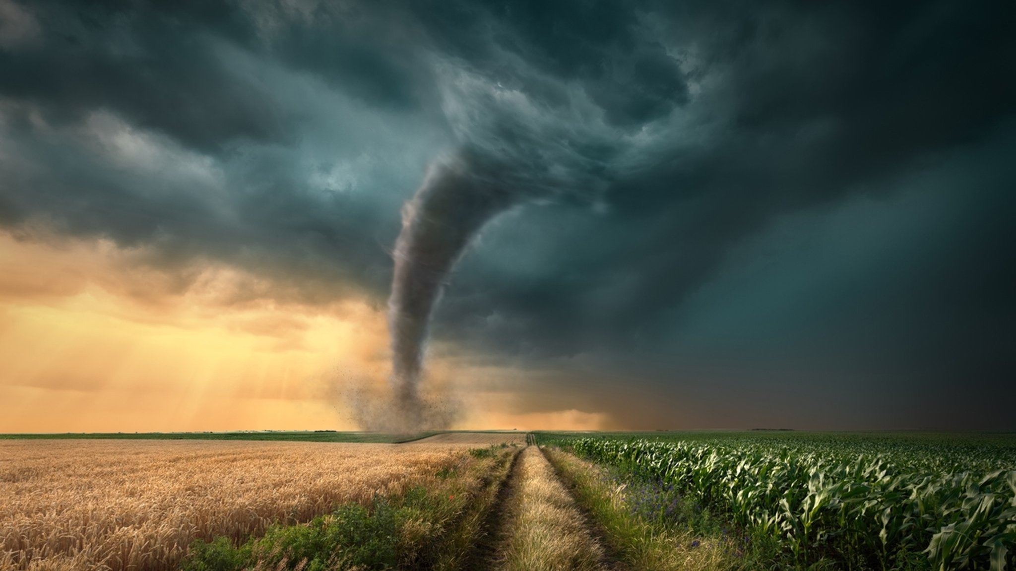 Ein Tornado auf einem Feld in der Abendsonne.