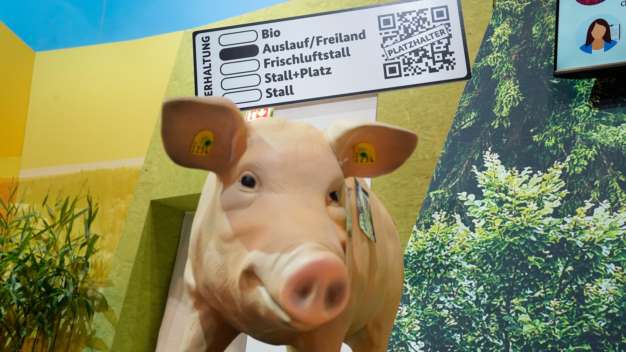 Eine Schweinefigur vor dem neuen, schwarz-weißen Logo. | Bild: picture alliance / Flashpic | Jens Krick Eine Schweinefigur vor dem neuen, schwarz-weißen Logo.