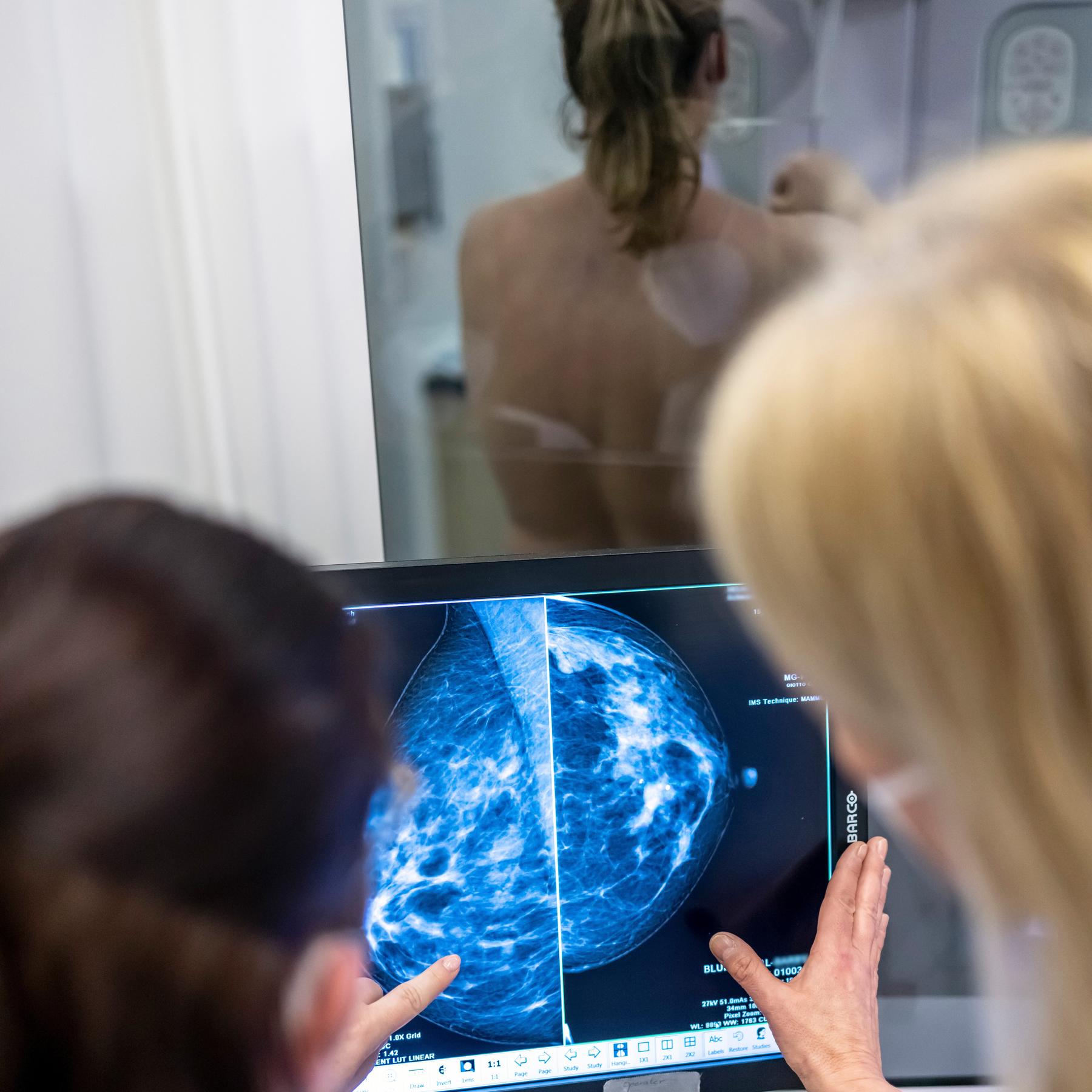 IQ - Wissenschaft und Forschung