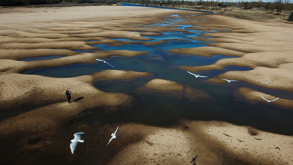 Argentinien: Vögel überfliegen das freigelegte Flussbett des Alten Parana-Flusses, eines Nebenflusses des Parana-Flusses, während einer Dürre.