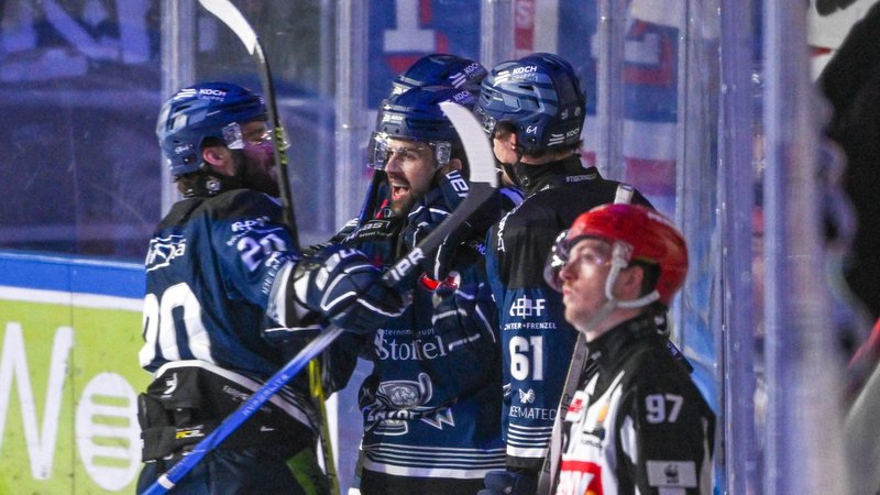 Straubing Tigers beim Torjubel | Bild: picture alliance/dpa | Armin Weigel Straubing Tigers beim Torjubel