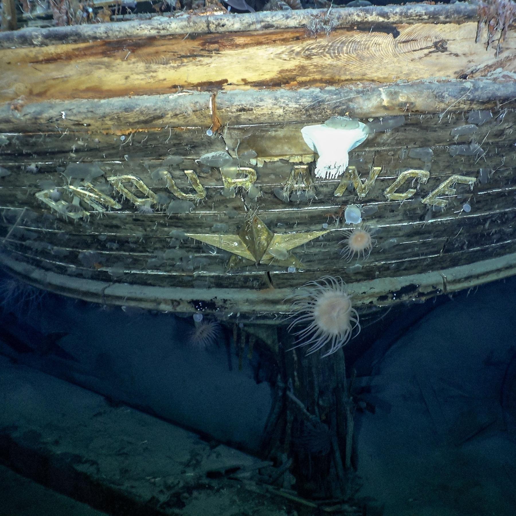 Legendäres Wrack - Forscher finden "Endurance" im Südpolarmeer