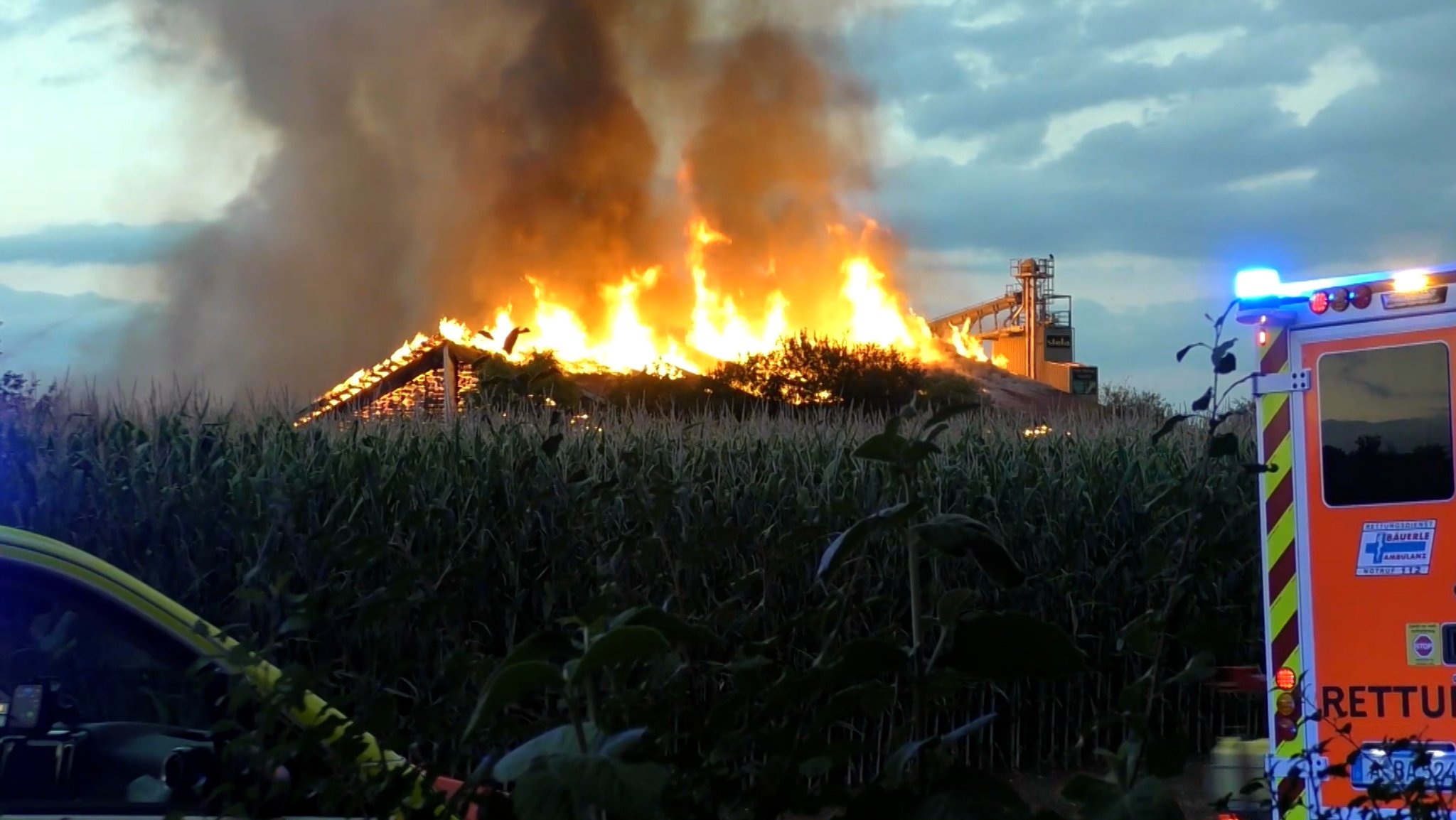 Brand in Schweinestall: Mehr als 1.600 Tiere verendet | Bild: 7aktuell.de | Christoph Bruder Brand in Schweinestall: Mehr als 1.600 Tiere verendet