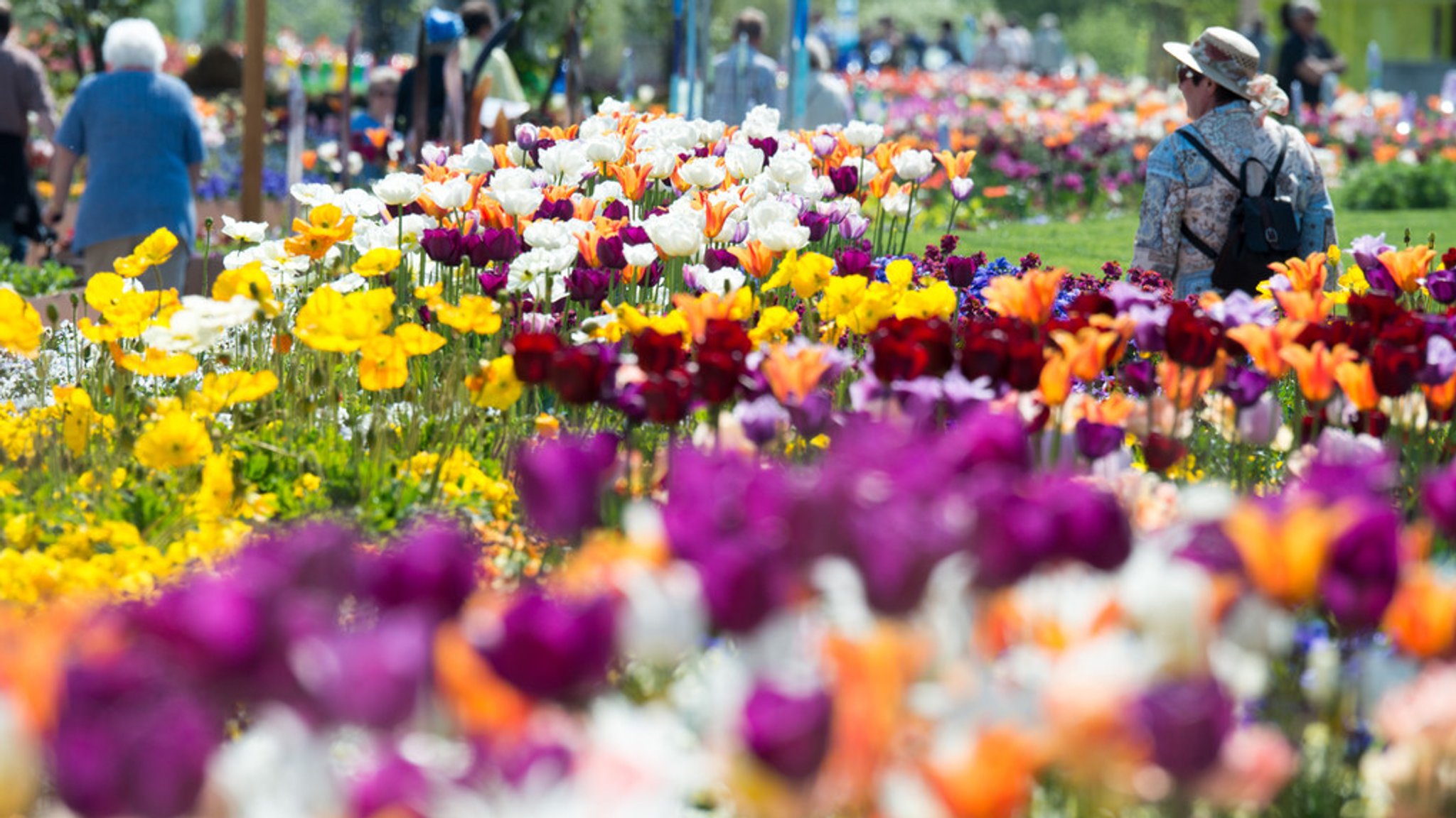 Besucher im Blumenmeer auf der Landesgartenschau 2014 in Deggendorf