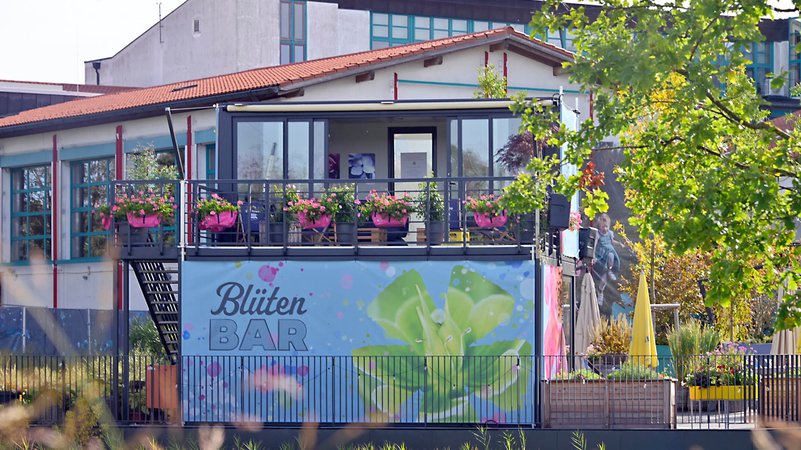 Landesgartenschau 2024 ist vorbei | Bild: picture alliance / SZ Photo | Claus Schunk Landesgartenschau 2024 ist vorbei