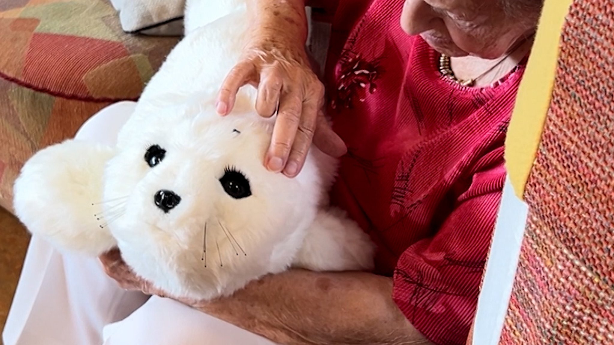 Eine Seniorin aus der Tagespflege streichelt liebevoll die Plüschtierrobbe Paro. | Bild: BR / Alicia Heid Eine Seniorin aus der Tagespflege streichelt liebevoll die Plüschtierrobbe Paro.