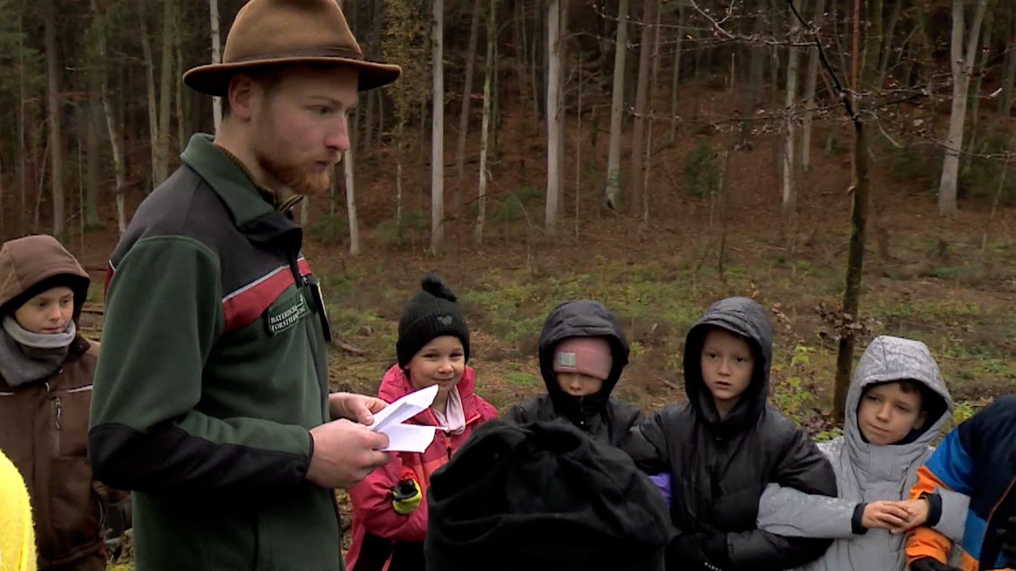 Ein Förster erklärt Grundschulkindern den Wald.