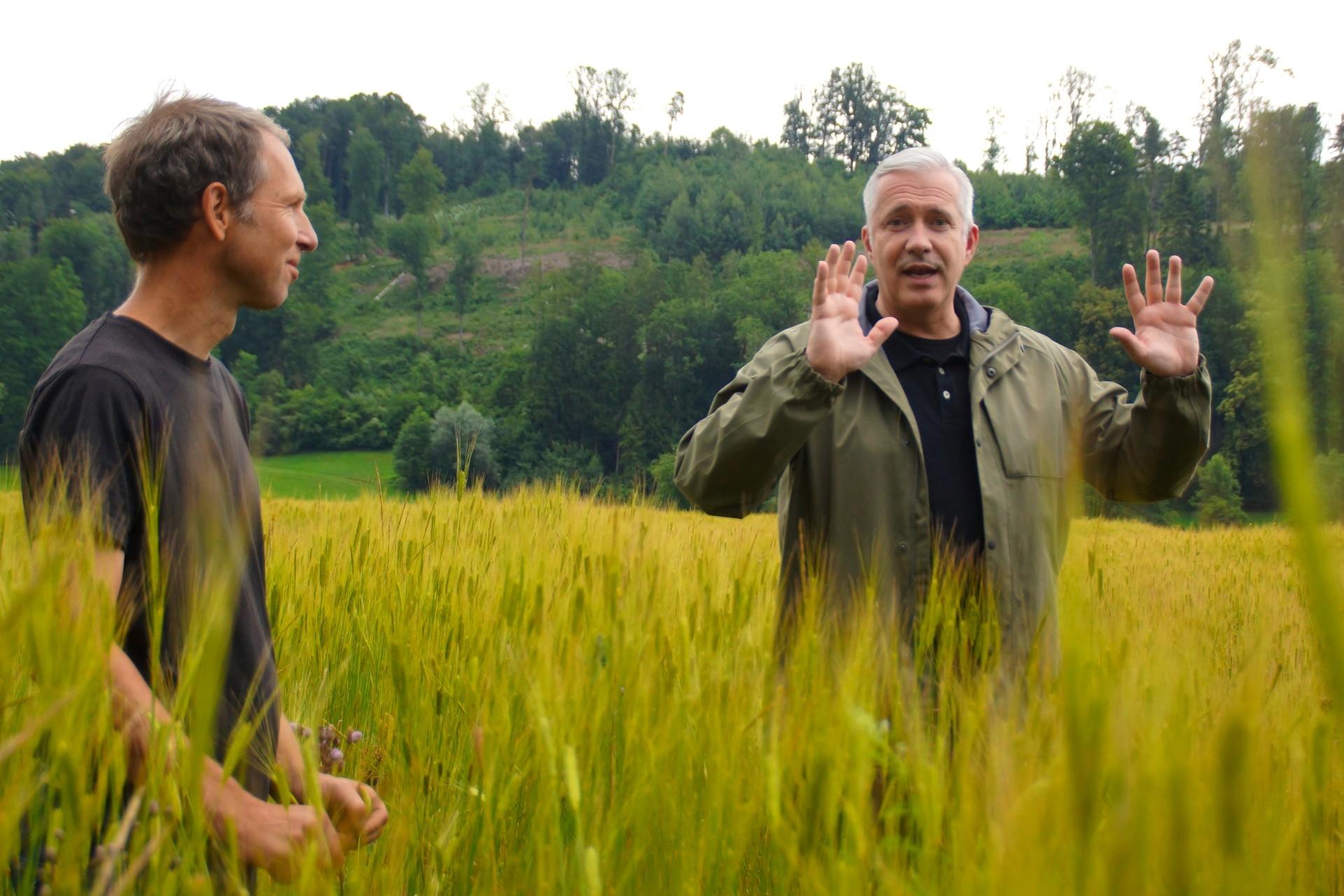 Bayerischer Reis: Stefan Schmutz (links) und Alexander Herrmann in einem Einkorn-Feld.