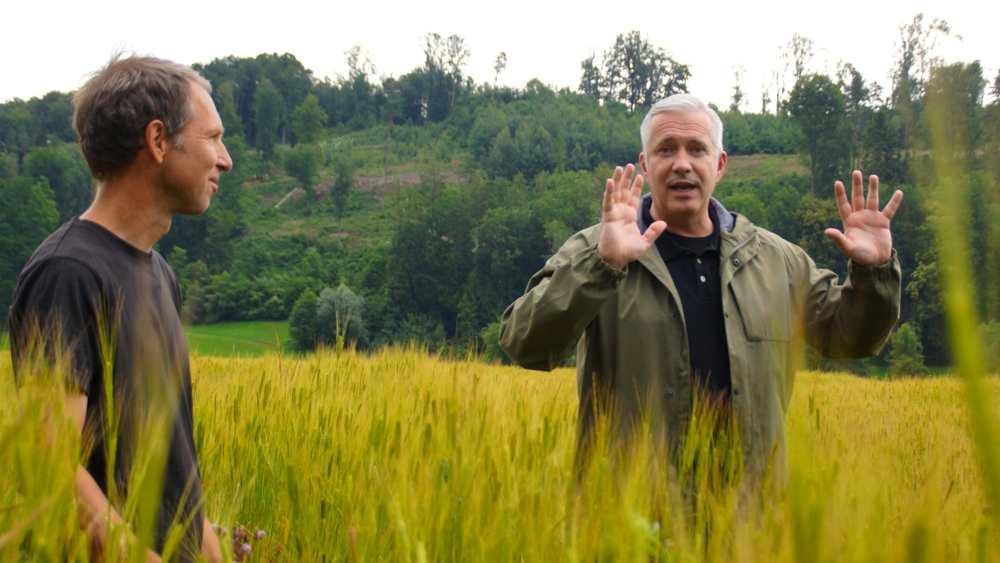 Bayerischer Reis: Stefan Schmutz (links) und Alexander Herrmann in einem Einkorn-Feld.