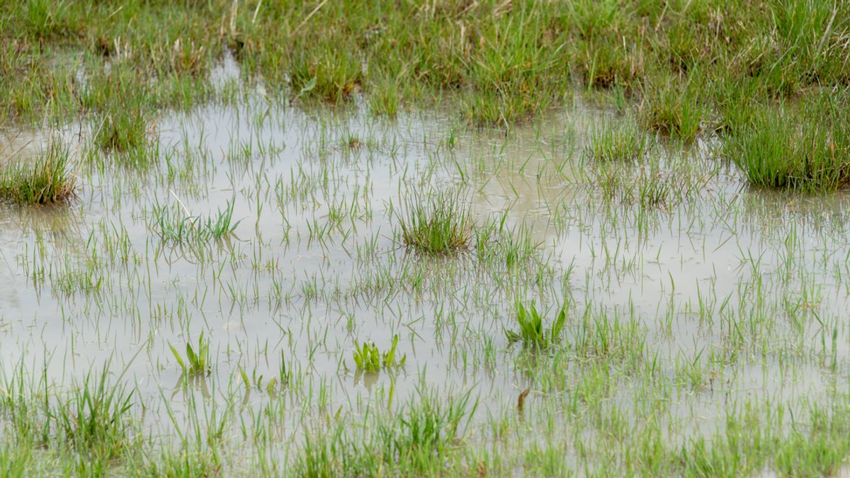 Viel Regen: Boden und Grundwasser in Unterfranken erholen sich