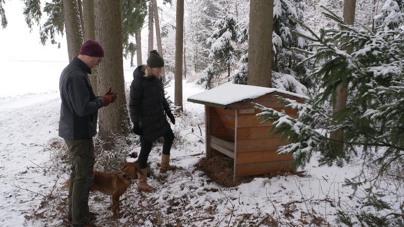 Förster und Wildbiologin an Futterhäuschen im Wald | Bild: BR Förster und Wildbiologin an Futterhäuschen im Wald