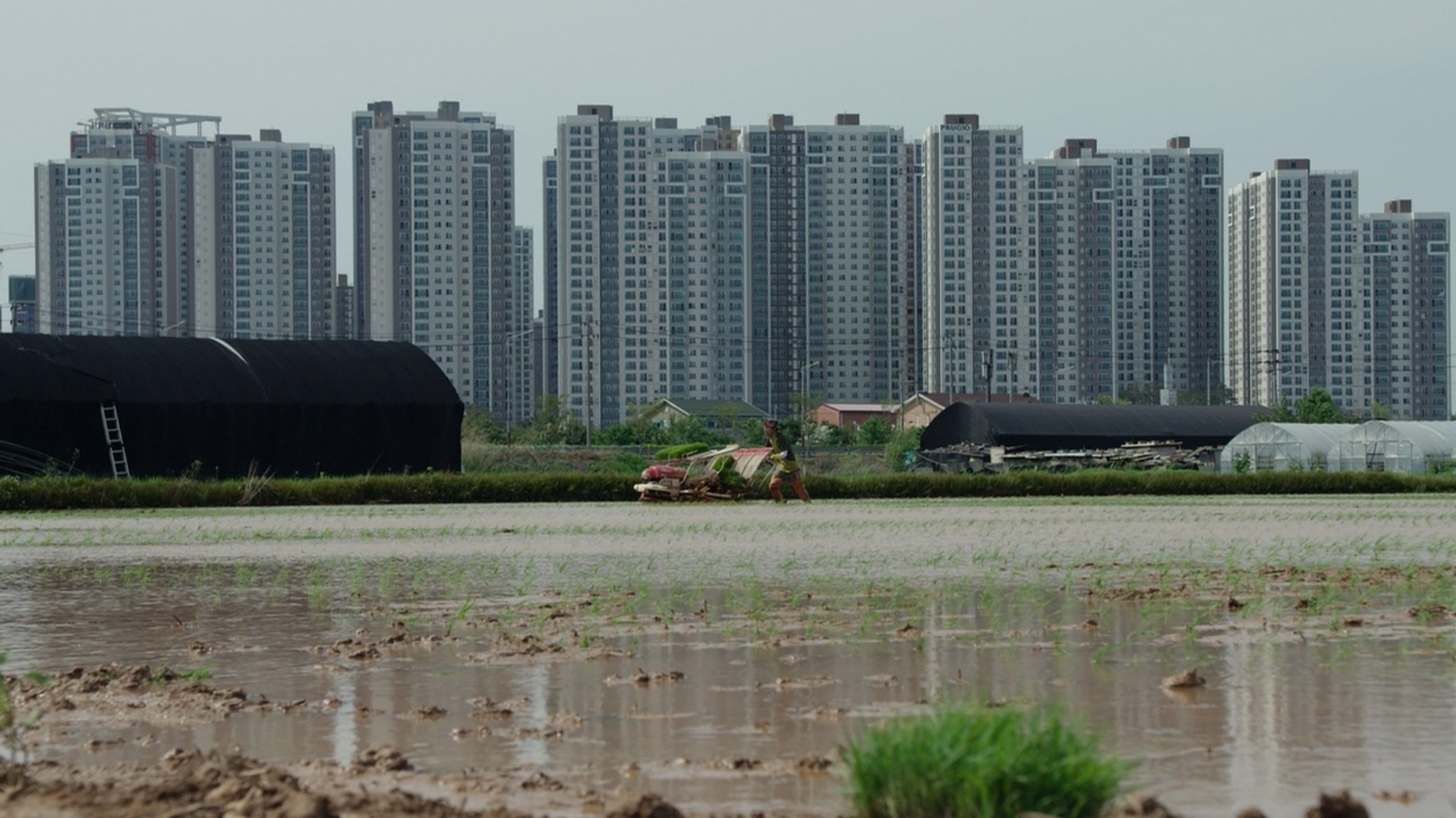 "Zeit für Utopien": Reisbauer der Kooperative Hansalim vor Skyline (Südkorea)