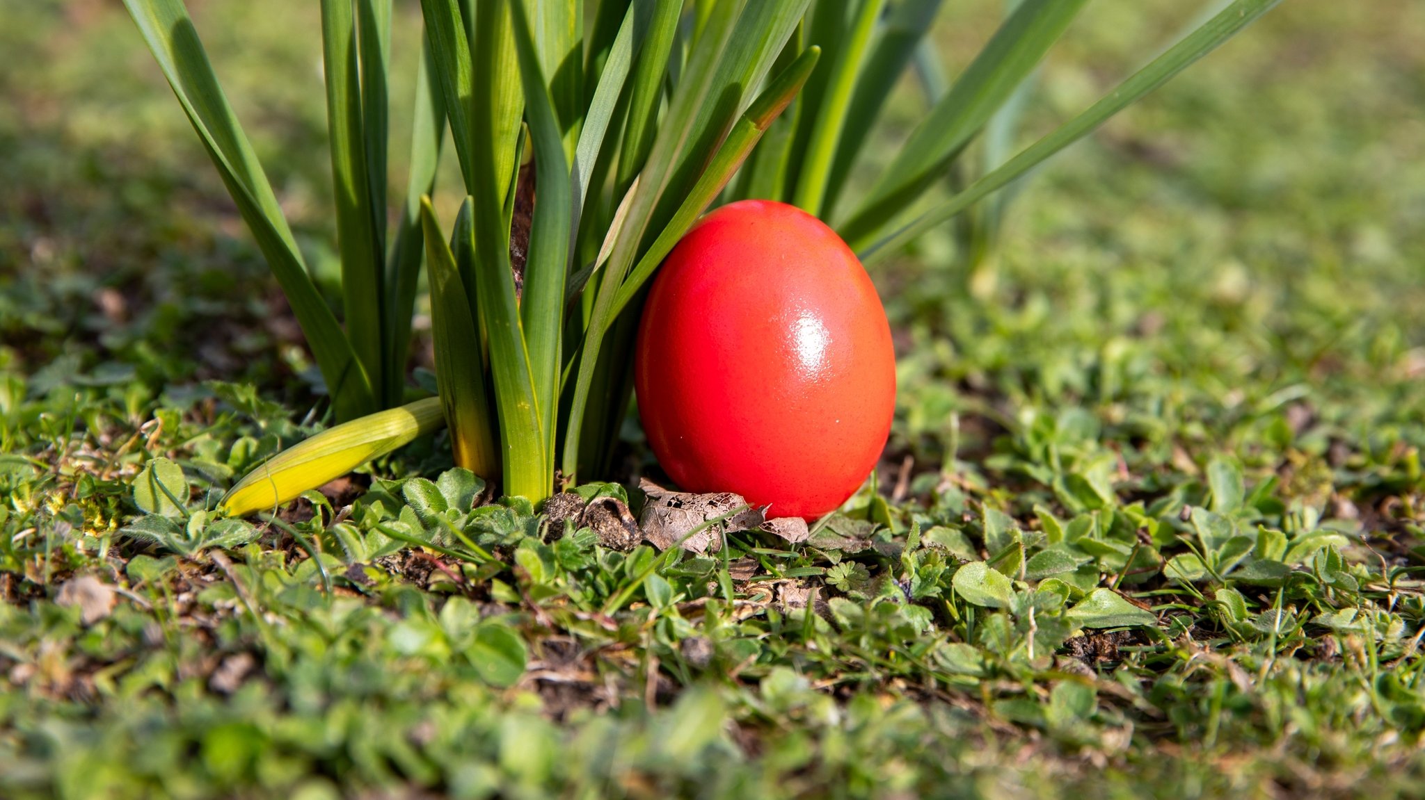 Was hat das Ei mit Ostern zu tun?